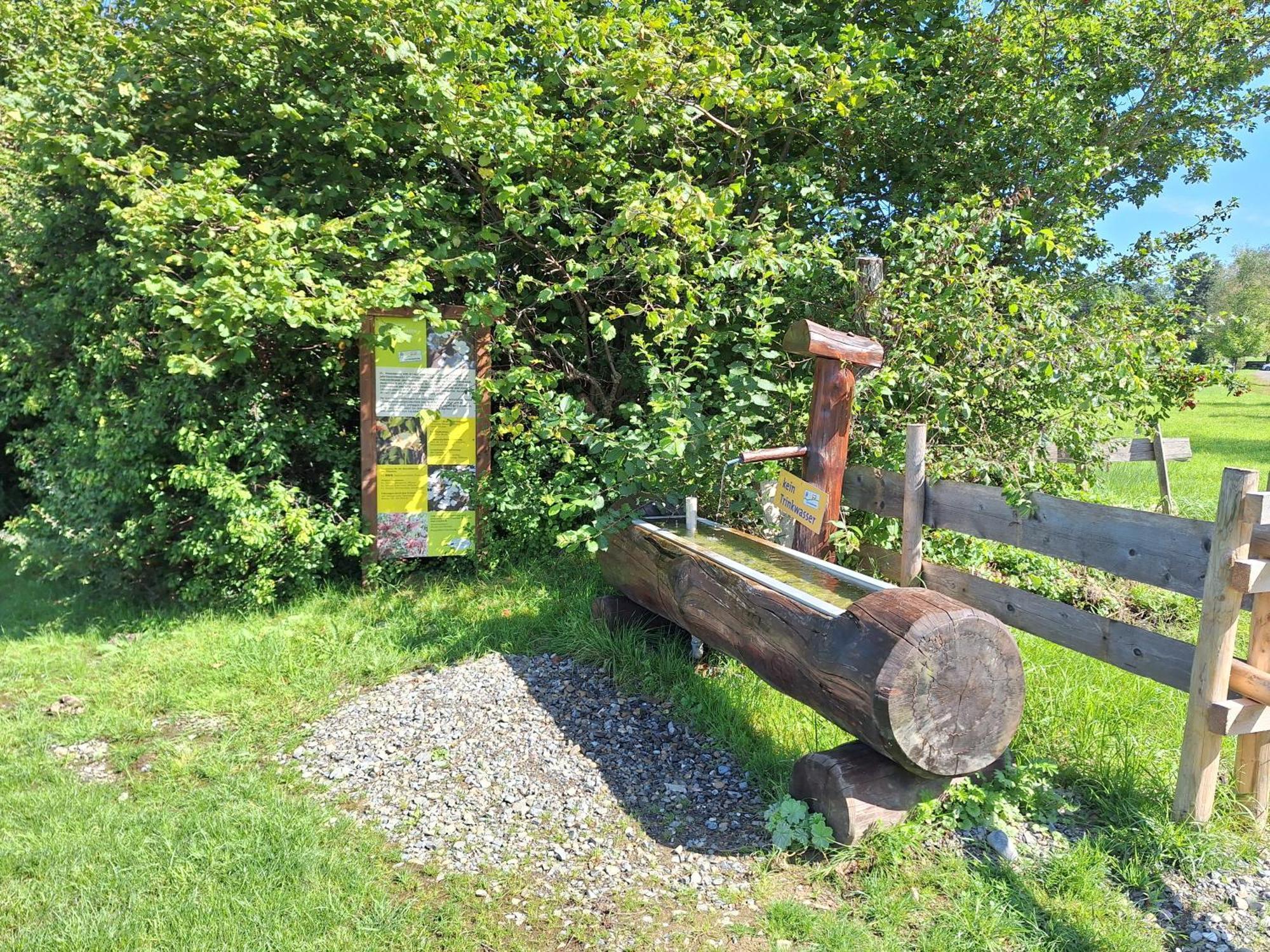 Fewo Allgaeuerle1605 Mit Hallenbad, Sauna, Tiefgarage Und Wlan Missen-Wilhams Exterior foto
