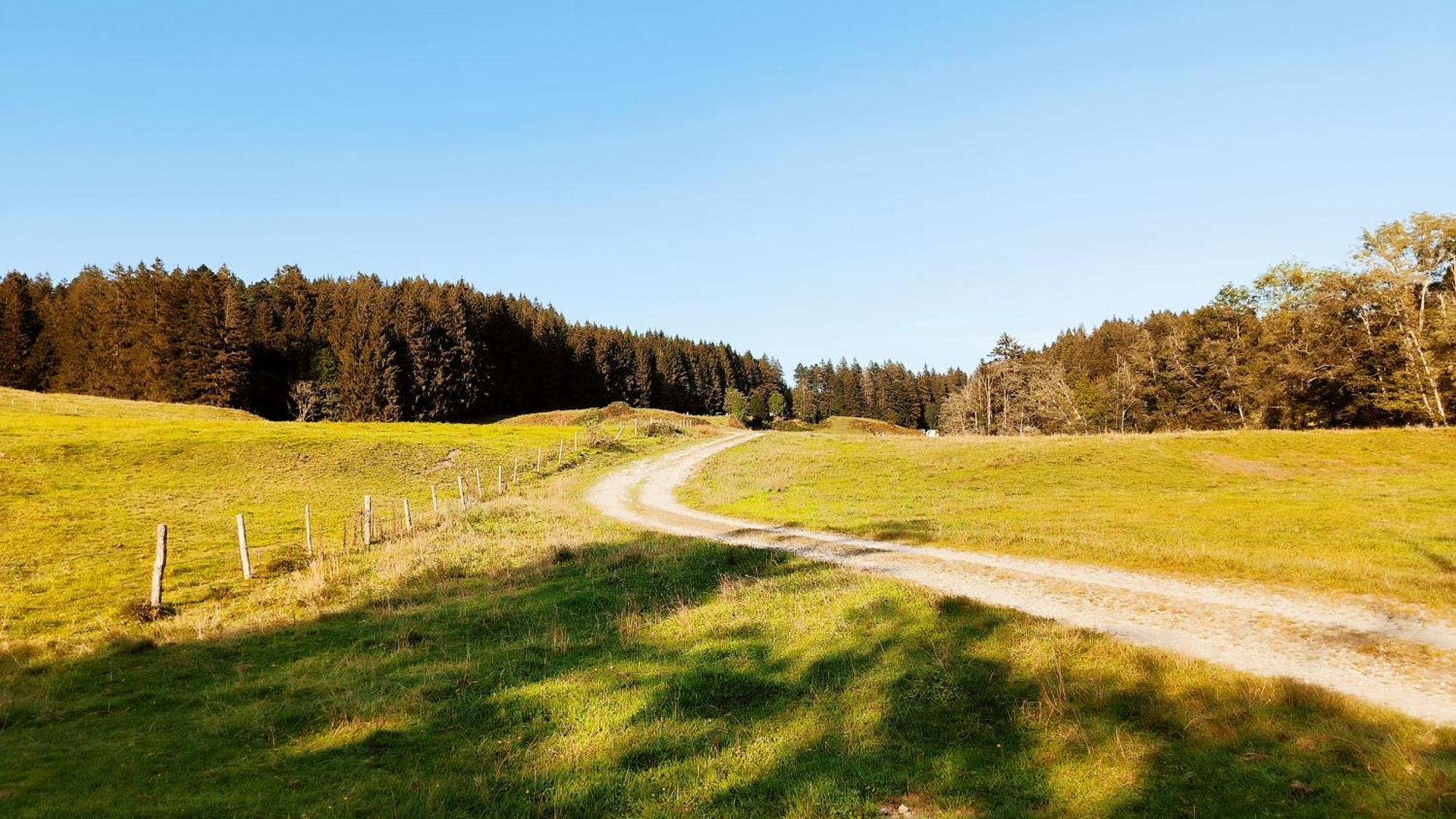 Fewo Allgaeuerle1605 Mit Hallenbad, Sauna, Tiefgarage Und Wlan Missen-Wilhams Exterior foto